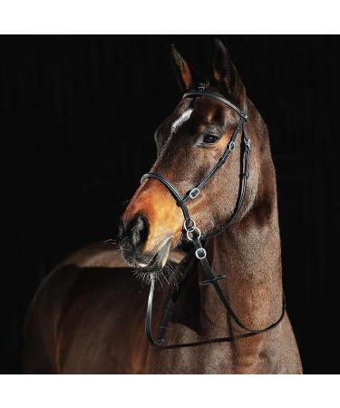 HORZE Genuine Leather Cross-Under Bitless Bridle with Web Reins - Black US Horse - Buy Online on SooperMarket.com
