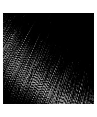 Kiss Express Semi-Permanent Hair Color Black 3.5 Fl Oz (Pack of 2) - 100mL (3.5 US fl.oz), 2 Count - Buy Online on SooperMarket.com