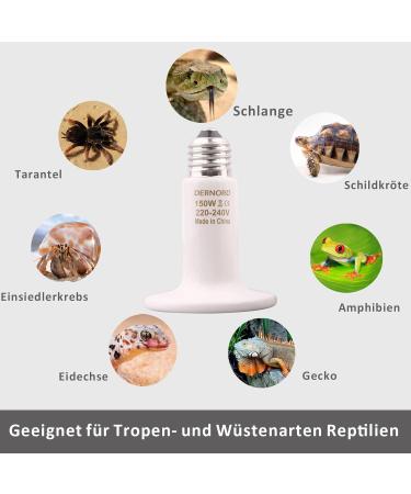 Dernord Reptiles Thermal Lamp 150W - Ceramic Heating Spotlights for Turtles Crayfish Spiders & More - E27 Heating Lamp (2 Pieces) - Buy Online on SooperMarket.com