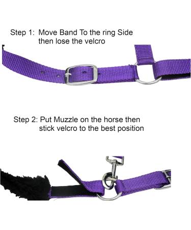 Buy SIE Muzzle for Horses - Violet Cob for Pasture Use | International Shipping Available - Buy Online on SooperMarket.com