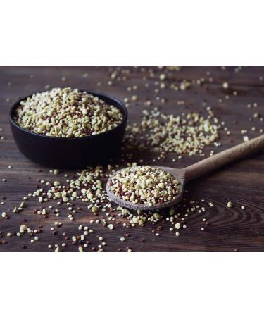 Organic Super Grains Blend 12oz - Millet, Buckwheat, Quinoa Mix | Non-GMO, Vegan Superfood - Bulk 0.75lbs - Buy Online on SooperMarket.com