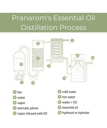 Pranarom Bergamot Essential Oil (5 ml) - Pure Aromatherapy Wellness - Buy Online on SooperMarket.com