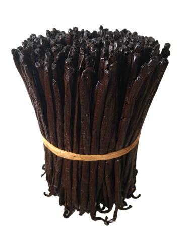 10 Madagascar Vanilla Beans Grade Mid A (A/B ) for Extract and Everything Vanilla by FITNCLEAN VANILLA| 5"-7" Bulk Bourbon Fresh Whole Natural Raw NON-GMO Pods. Madagascar Vanilla 10 Count (Pack of 1)