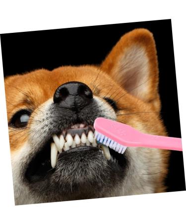 CORHAD 12pcs Double Head Dog Toothbrush Dog Finger Toothbrush Dog Toothbrush Toothpaste Dog Tooth Care Pp - Buy Online on SooperMarket.com