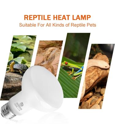 REPTI HOME Reptile Heat Lamp Bulbs 2 Pack 100W Heat Lamp for Reptiles E27 Basking Light Bulb for Vivarium Turtle Lizard Tortoise Bearded Dragon Puppy Chick - Buy Online on SooperMarket.com
