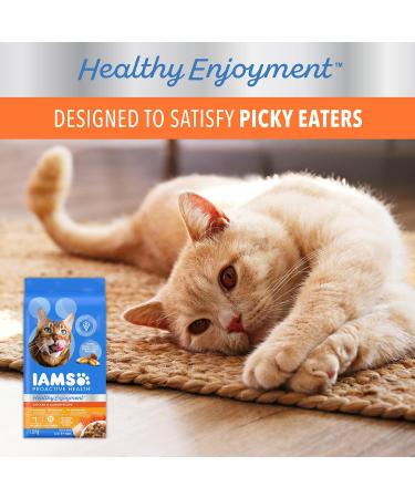 IAMS PROACTIVE HEALTH HEALTHY ENJOYMENT Adult Dry Cat Food Chicken & Salmon Recipe 1.36kg Bag 1.36 kg (Pack of 1) - Buy Online on SooperMarket.com