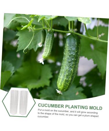 Milisten Garden Fruit Mould 2pcs Vegetable Shaping Mold Cucumbers Cucumber Shaping Mold Vegetable Shaper Mold Planting Supplies - Buy Online on SooperMarket.com