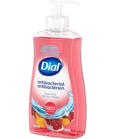 Dial Antibacterial Liquid Hand Soap Pomegranate Tangerine 325ml Tangerine 325 ml (Pack of 1) - Buy Online on SooperMarket.com