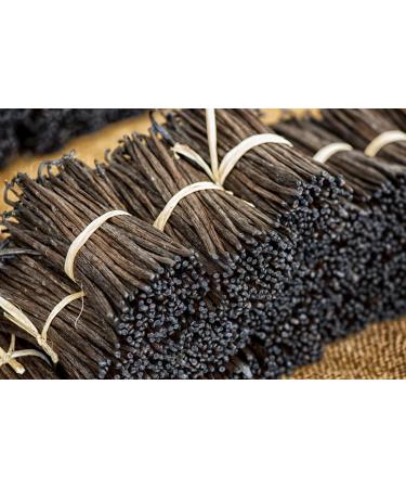 UGANDA Vanilla Pods Premium - 10 Pods, 15-18cm | High-Quality Vanilla Beans - Buy Online on SooperMarket.com