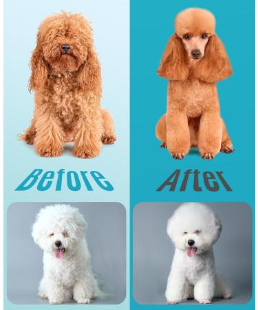 oneisall Professional Dog Clippers for Thick Hair - Heavy-Duty Cordless Grooming Clippers with Metal Blade for Cockapoo - Blue - Buy Online on SooperMarket.com