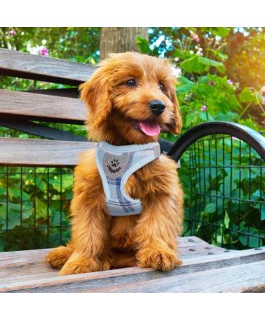 PUPTECK Dog Harness Small Dog with Collar and Lead Set Step-in No Pull Puppy Cat Harnesses for Daily Walking Blue M M: Chest girth: 40.6-45.7cm Collar: 30-40cm Blue - Buy Online on SooperMarket.com