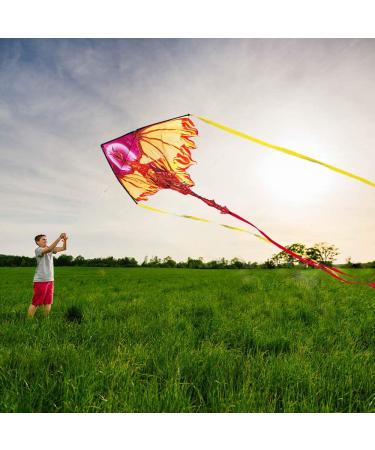 Dragon Kite for Kids and Adults - Easy-to-Fly Delta Beach Kite with 300ft String - Fiery Colors - Buy Online on SooperMarket.com