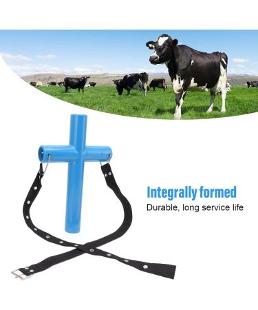 Livestock Mouth Opener Durable Livestock Gastric Lavage Equipment for Animal Husbandry (S) Small - Buy Online on SooperMarket.com