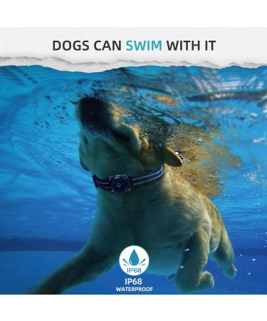 GPS Dog Tracker Mini GPS Tracker Device with Dogs Collar No Monthly Fees Real-Time Location Tracking Works with Apple Find My (iOS Only) IP68 Waterproof Pet Tracker Anti Lost for Dog 1 Pack Black - Buy Online on SooperMarket.com