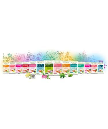 Herbesan Infusion Rosemary Digestion Organic 20 Sachets - Buy Online on SooperMarket.com
