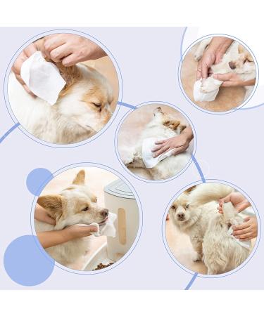 Latglend Pet Wipes for Dogs & Cats - 600 Count, Puppy Grooming Bath Wipes for Body, Face, Eyes, Ears & Paws - 6 Pack - Buy Online on SooperMarket.com