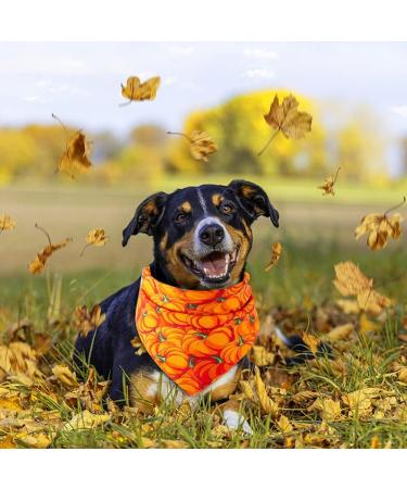 3Pcs Halloween Dog Bandanas Thanksgiving Pet Triangle Bibs Fall Pumpkin Maple Leaf Printed Dog Kerchief Adjustable Washable Scarfs Accessories for Small Medium Large Girl Boy Dogs Puppies Cats Pets - Buy Online on SooperMarket.com
