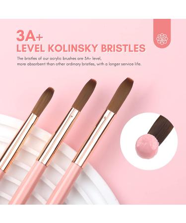 Saviland 3 PCS Kolinsky Acrylic Nail Brush Set | Size 8/10/14 Premium Quality Durable Nail Art Brush for Acrylic Powder, Monomer Liquid, Nail Extensions, and 3D Nailcarving - Perfect Christmas Gift for Women - Buy Online on SooperMarket.com