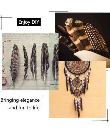 30Pcs Natural Turkey Spotted Feathers for DIY Crafts and Decor - 6-8 inch (3 Styles) - Buy Online on SooperMarket.com