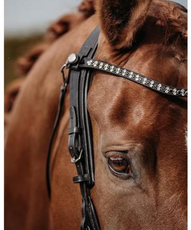 Buy Presteq Bridle FaySport Glitter PresTec Black - Full/WB - International Shipping Available - Buy Online on SooperMarket.com