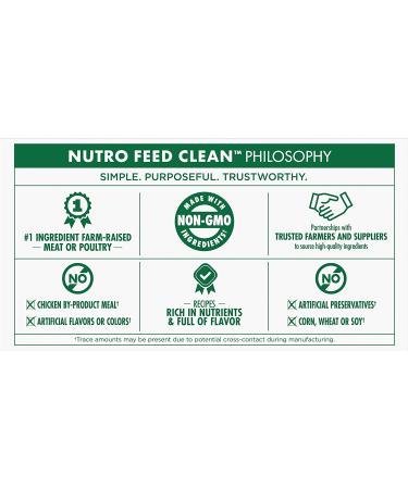NUTRO Adult High Protein Grain-Free Wet Dog Food Variety Pack - Beef, Lamb, Chicken, Turkey - 36 Pack x 3.5oz - Buy Online on SooperMarket.com