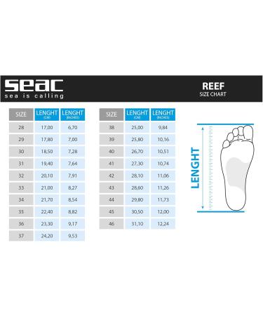 Seac Reef Quick-Drying Bathing Shoes - Adults & Kids Pool & Beach - 39 EU Grey - Buy Online on SooperMarket.com