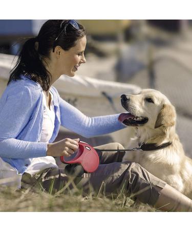 Buy Flexi Retractable Dog Leash 3m Extra Small Pink Rose - Perfect for Small Dogs | Shop Internationally - Buy Online on SooperMarket.com