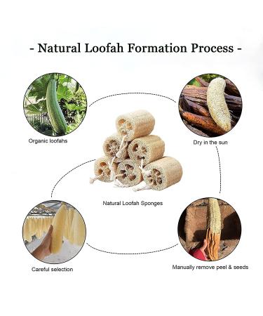 Natural Loofah Sponge Shower Exfoliating Bath Body Scrubber - 6pcs - Buy Online on SooperMarket.com