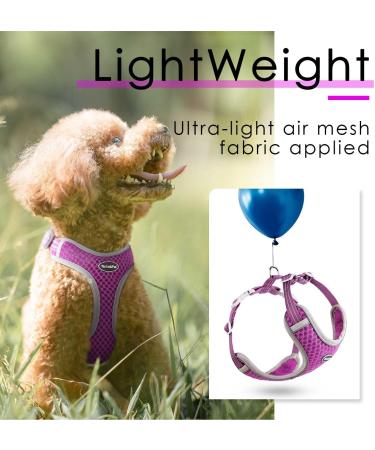 Thinkpet No-Pull Dog Harness - Breathable Adjustable Safety Harness for Small Medium & Large Dogs - Soft Reflective Padded - Purple (1 Pack) - Buy Online on SooperMarket.com