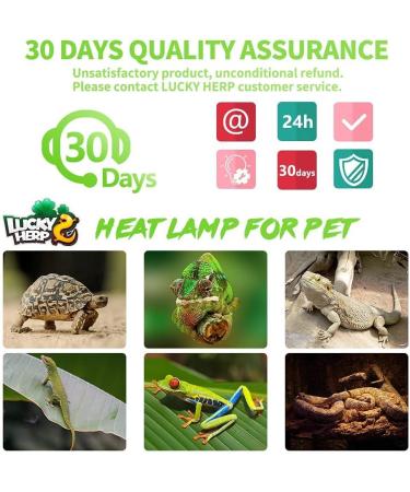 LUCKY HERP 150W Reptile Heat Bulb Basking Spot Heat Lamp for Reptiles Vivarium Light for Amphibian Chicks Dog Heating Use 150W 1 Pack - Buy Online on SooperMarket.com