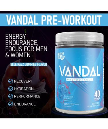 VNDL Pre Workout Powder for Men & Women- Enjoy a Clean Energy Boost with No Sugar Featuring L-Citrulline & L-Tyrosine for Improved Endurance- Nootropic Formula in Blue Razz Gummies Flavor - 40 Servings - Buy Online on SooperMarket.com