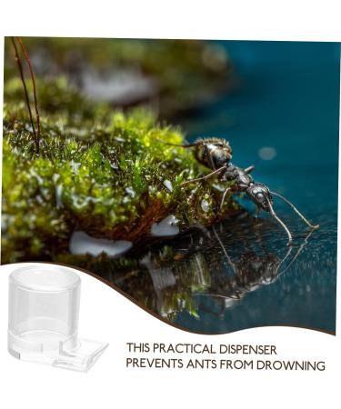Parliky Pet Water Feeder Ant Feeder Station Ant Bottle Feeder Ant Nest Water Feeder Transparent Plastic - Buy Online on SooperMarket.com