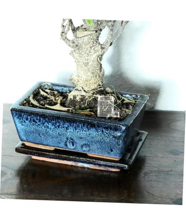 BESPORTBLE Pet Water Feeder Ants Waterer for Garden Ants Nest Water Feeder Ants Farm Water Feeders Plastic - Buy Online on SooperMarket.com