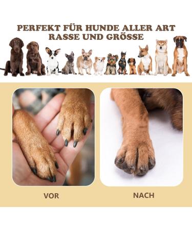 Ykall Dog Claw Grinder - Stress-Free Nail File & Treat Scratching Board | 360 Rotation Dog Scratch Pad for Healthy Nails - Buy Online on SooperMarket.com