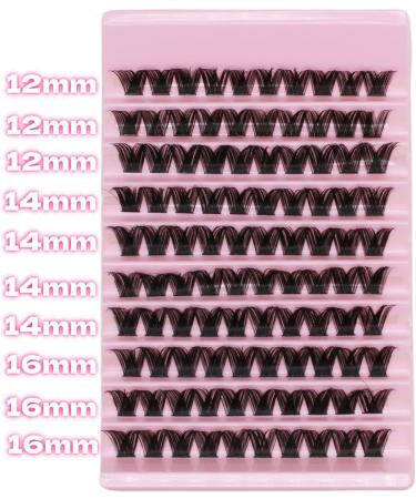 Selawasty 100 Lash Clusters - DIY Eyelash Extensions D Curl Mega Volume Individual Lashes - Wispy Cluster Extensions for Home - S7-D-12-16MIX - Buy Online on SooperMarket.com