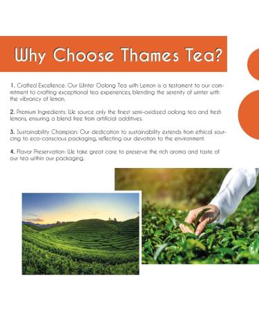 Thames Tea Winter Oolong: Premium Flavoured Loose Leaf Fruit & Herbal Tea Tubebox - Buy Online on SooperMarket.com