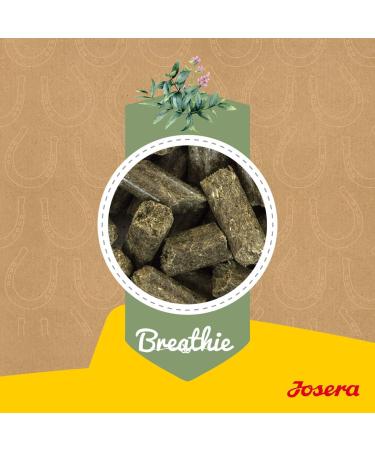 Josera Breathie Pferdeleckerli (900g) - Tasty Eucalyptus Horse Treats | Healthy Herbal Reward for Horses | Buy Internationally - Buy Online on SooperMarket.com