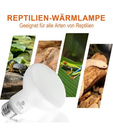 Repti Home 75W Reptile Heating Lamp - 2 Pack | Ideal for Turtles Lizards Snakes & Amphibians - Perfect Terrarium Heat Source - Buy Online on SooperMarket.com