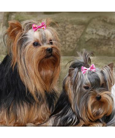 Symphonyw Dog Hair Bows 28 Pcs Daisy Flower Dog Hair Bows with Elastic Rubber Bands Pet Dog Grooming Hair Bands Hair Accessories for Long Hair Puppy Kitten Dogs Cats Random Color Multi-colored B - Buy Online on SooperMarket.com