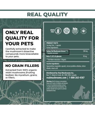 Turkey Tail Pet Support - Vet-Approved Dog Multivitamins for Immune & Gut Health (90ct) - Buy Online on SooperMarket.com