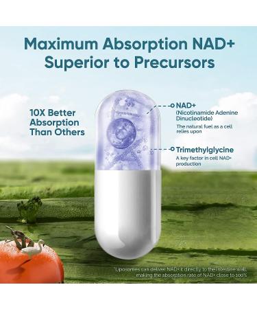solodate Liposomal NAD+ 500mg Supplement with TMG | Cellular Energy & Anti-Aging | 120 Capsules - Buy Online on SooperMarket.com