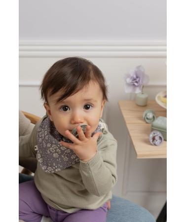 Buy BIBSE de Lux BPA-Free Cherry Shape Silicone Pacifier 2-Pack (0-36 Months) - Made in Denmark - Chamomile Lawn Mauve - Buy Online on SooperMarket.com