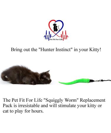 Pet Fit For Life 5 Piece Replacement Worm Pack for Cat Toy Wands - Buy Online on SooperMarket.com