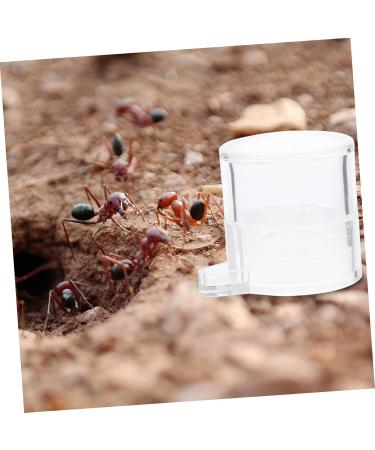 Mipcase 2pcs Ant Water Feeder Tortoise Water Dish Reptile Water Dish Cup Insect House Transparent Acrylic - Buy Online on SooperMarket.com