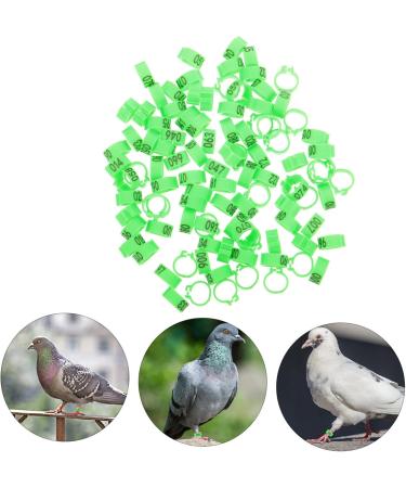 Kisangel 300 Pcs Pigeon Anklet Tag Where Pigeon Identification Ring Pigeons Leg Ring Baby Chicken 1.3X1.3CMx3pcs Greenx3pcs - Buy Online on SooperMarket.com