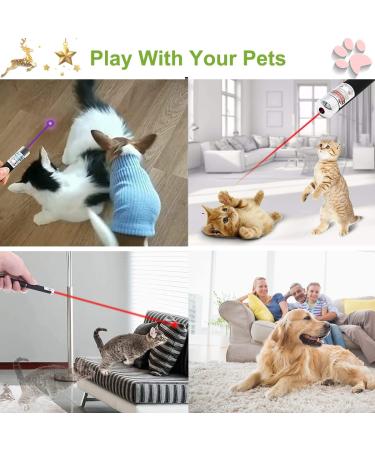 3 PCS Long Range Dot Clicker Toy Pen for Indoor Interactive Teaching - Green Red Violet | Cat Puppy Kitten Lazer Toy | Bright Clicker for Dog Cat Training Exercise - Buy Online on SooperMarket.com