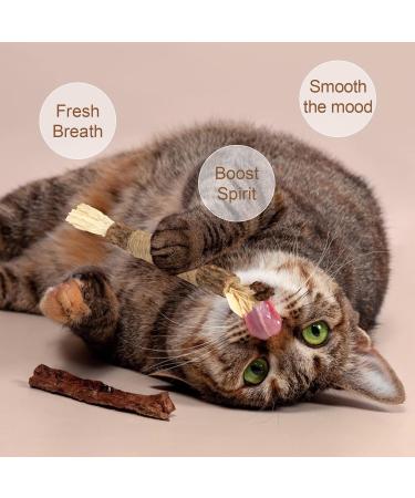 Dacitiery Cat Silvervine Chew Sticks Cat Toys Natural Cat Teeth Nip Cleaning Teeth Chew Catnip Toys for Indoor Cat Teeth Cleaning Kitten Teething and Stress Release (3 Style 6 Pack) - Buy Online on SooperMarket.com