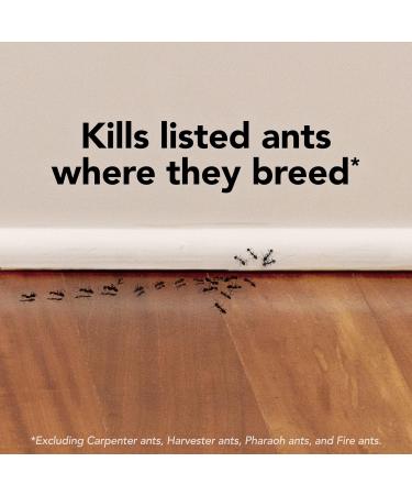 Raid Ant Killer Baits And Traps For Indoor Use Child Resistant 8 Count Baits Ant Killer - Buy Online on SooperMarket.com