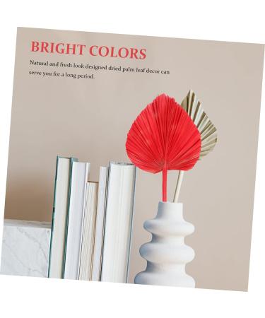 Alipis Simulated Cattail Fan Wedding Layout Palm Leaf Dried Palm Spears Home D cor Vase Art Ornament Faux Plant Italian Ruscus Woven Hand Held Fan Decor Fans Palm Leaves Hamster Monstera Red 50x28cm - Buy Online on SooperMarket.com