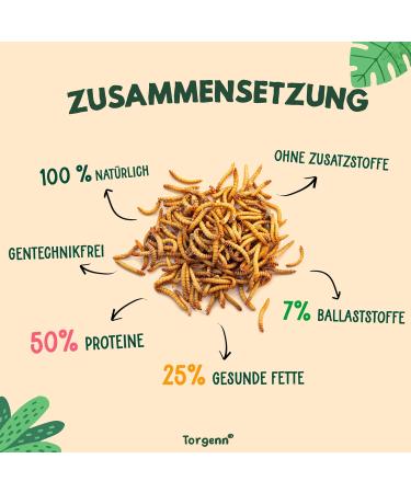 Torgenn Mealworms 2kg - Nutrient-Rich 100% Natural Wild Bird & Fish Food | GVO-Free Additive-Free - Buy Online on SooperMarket.com